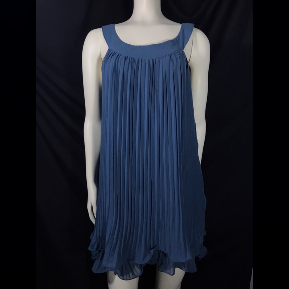 Blu Pepper Pleated Dress